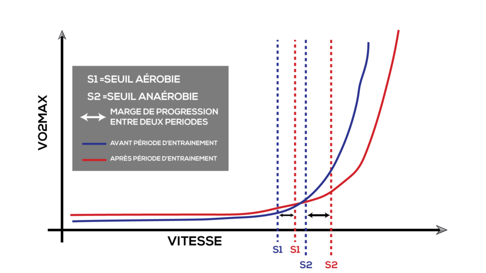 ENDURANCE FONDAMENTALE VS ENDURANCE ACTIVE COMMENT LES UTILISER EN